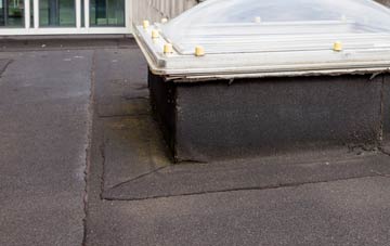 disadvantages of Danebank flat roofs