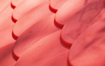 Danebank plastic roof costs