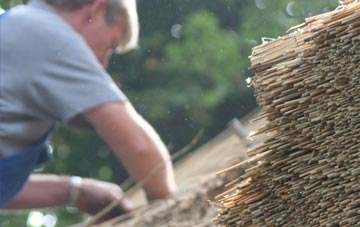 professional Danebank thatchers