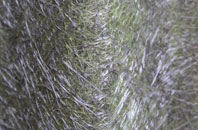 Danebank fibreglass roof work