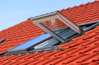 Danebank roof window